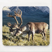 Caribou / Reindeer Lovers Mouse Pads