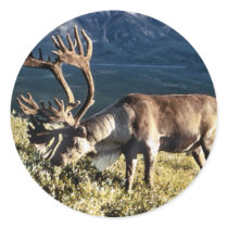 Caribou / Reindeer Lovers stickers by WildByDezign Caribou / Reindeer Lovers stickers