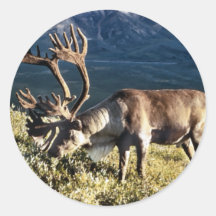 Caribou / Reindeer Lovers Stickers