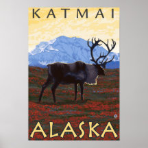 Caribou Scene - Katmai, Alaska Posters