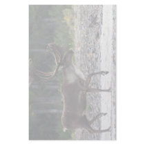 caribou personalized stationery