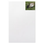 Caribou Stationery Design