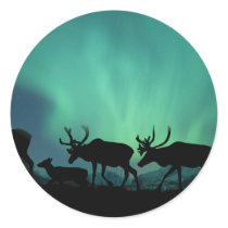 Caribou Stickers