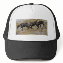 Caribou Trot Baseball Cap hats