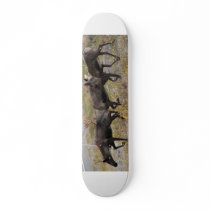 Caribou Trot Skateboard