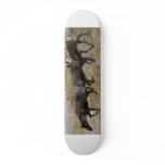 Caribou Trot Skateboard