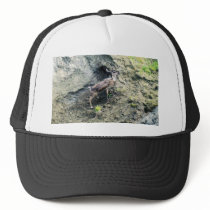 CARIBOW BLUFF (2) HAT