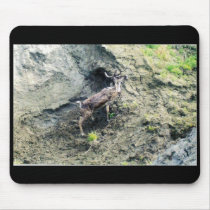 CARIBOW BLUFF (2) MOUSE MAT