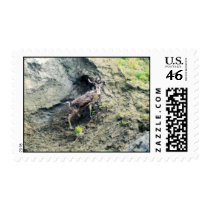 CARIBOW BLUFF (2) POSTAGE STAMPS