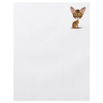 Caricature Abyssinian Flyers