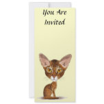Caricature Abyssinian Announcement