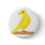 Carina Canary Pins