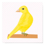 Carina Canary Poster