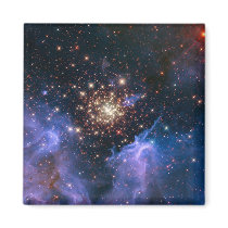 Carina cluster of golden stars refrigerator magnets
