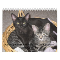 Caring About The Strays 2008 Wall Calender Wall Calendar