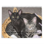Caring About The Strays 2008 Wall Calender Wall Calendar