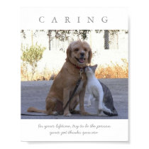 CARING Dog Cat Motivational Poster Print