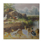 Carl Jutz - Ducks at the Brook (Modified) Tile