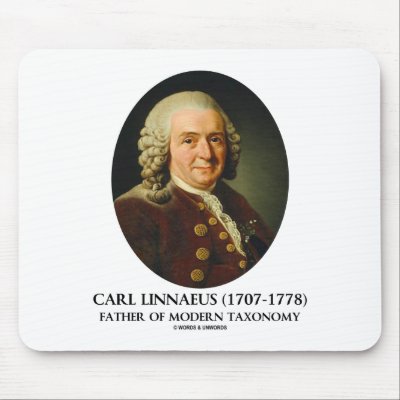 Carolus Linnaeus Taxonomy