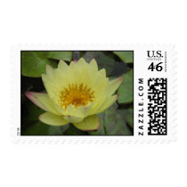 Carla's Sonshine stamps