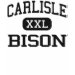 Ladies Long Sleeve