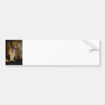 Carlsbad Caverns Bumper Sticker