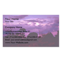Carlsbad Caverns National Park Business Card Template