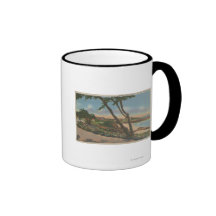 Carmel, CA - Homes along The Shore View Mug