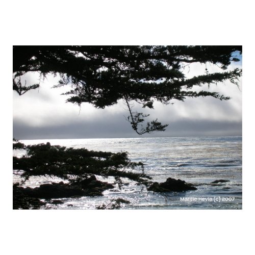 Carmel in Silver print