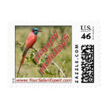 Carmine Bee-Eater (Bird) Postage Stamp (small)