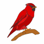 Carmine Cardinal Photo Cutouts