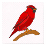 Carmine Cardinal Posters