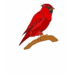Carmine Cardinal T Shirts