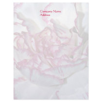 Carnation Background Letterhead by cherylarogers Carnation Background Letterhead