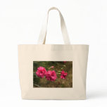 carnation carnation