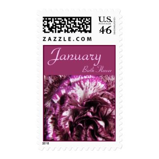 Carnation Birth Flower Postage Stamps - JANUARY