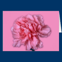 Carnation cards
