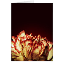 Carnation Fire card cards