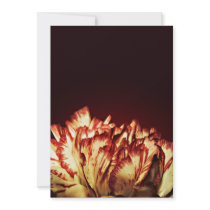 Carnation Fire invitations invitations
