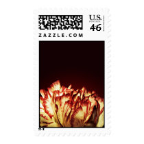 Carnation Fire postage stamps stamps