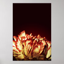 Carnation Fire print posters
