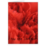 Carnation Flower You Are Invited Greeting Cards