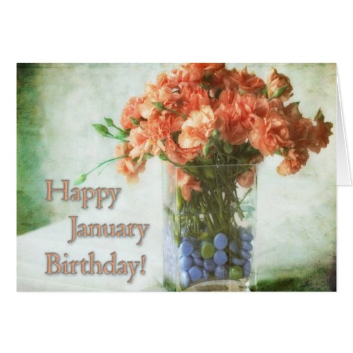 Carnation Happy Birthday 1 Card Zazzle