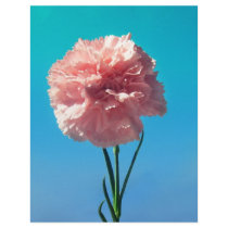 Carnation letterhead