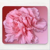 Carnation mousepads