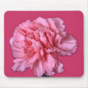 Carnation mousepads