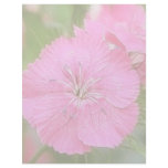 Carnation Pink Sweet Williams Customized Letterhead