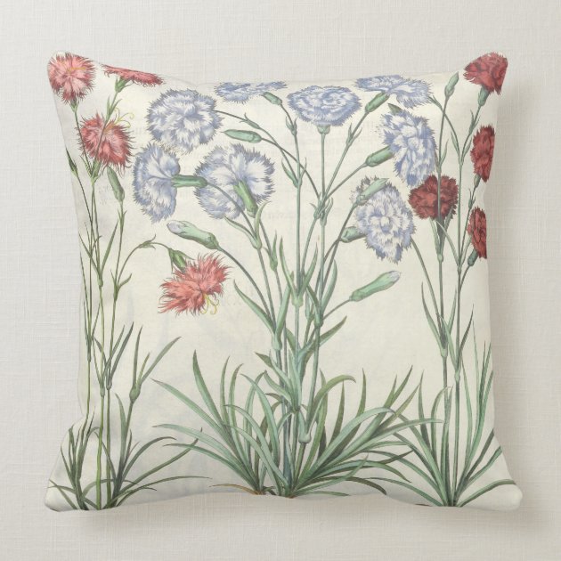 Carnations: 1.Caryophyllus multiplex flore albo; 2 Throw Pillows-0