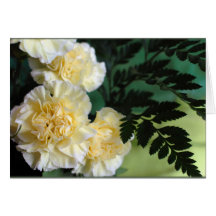 "Carnations and Ferns" Card