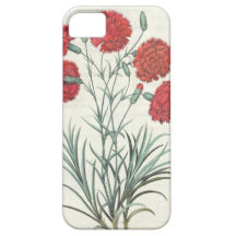 Carnations and Lavender: 1.Caryophyllus maximus pl iPhone 5 Cases